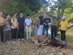 Iduladha 1447 H, partai Golkar Kabupaten Tasikmalaya Hadir Lewat Aksi Sosial dan Kemanusiaan