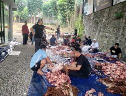 Gerindra Kota Tasikmalaya Sembelih 4 Ekor Sapi Kurban, Bagikan 700 Kantong Daging kepada Masyarakat